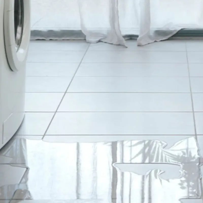 Appliance Leak Cleanup in Luce County, MI