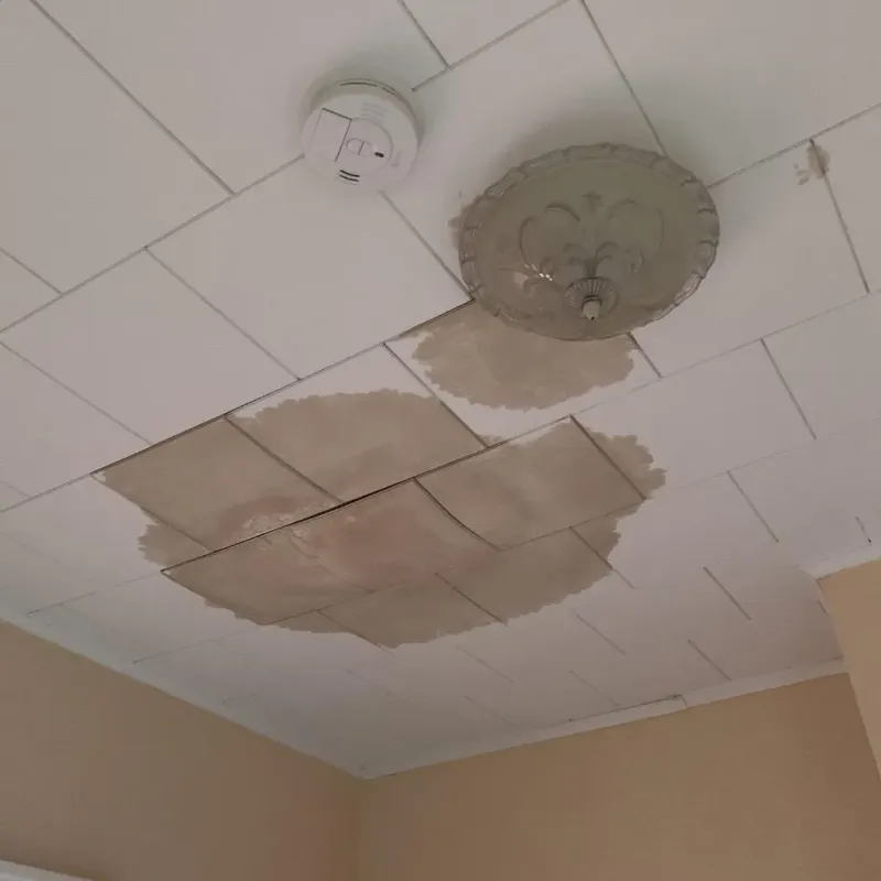 Ceiling Water Damage Repair in Luce County, MI
