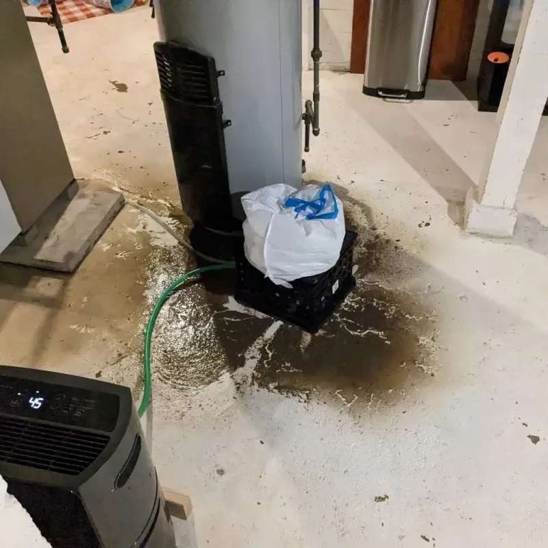 Sewage Backup Cleanup Service in Luce County, MI